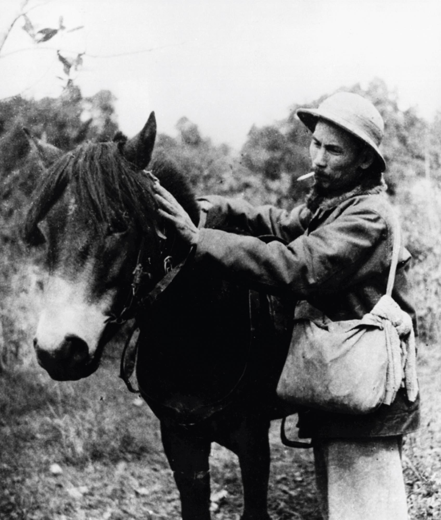 A soldier saddles up a mule.
