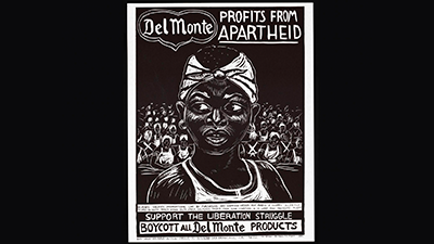 Poster calling for the boycott of all Del Monte products. “Del Monte profits from apartheid” is written above the image of a young, Black woman.