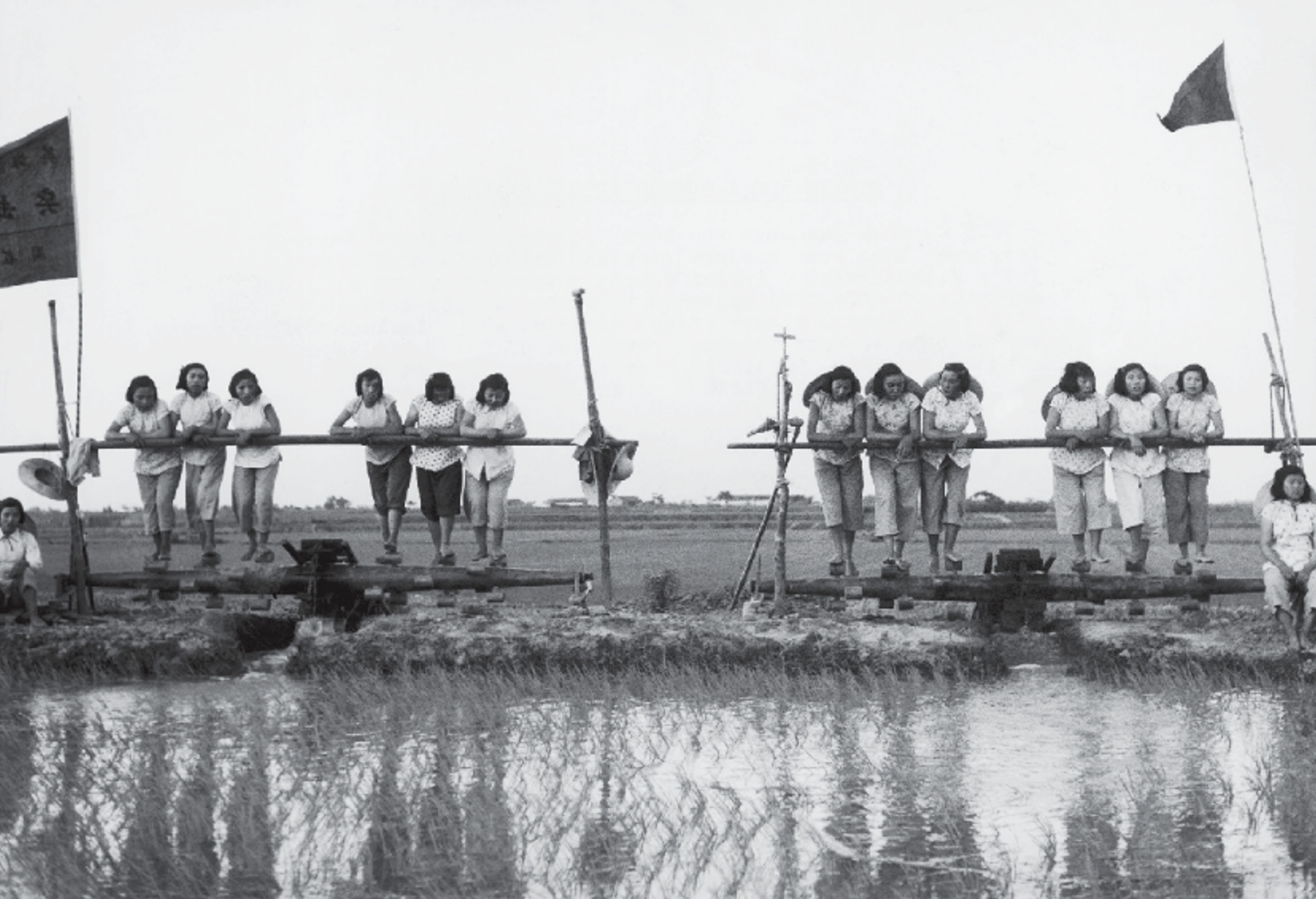 A black-and-white photograph of workers lined up on a wooden platform above a flooded field, leaning forward on a long horizontal beam with flags on either side.