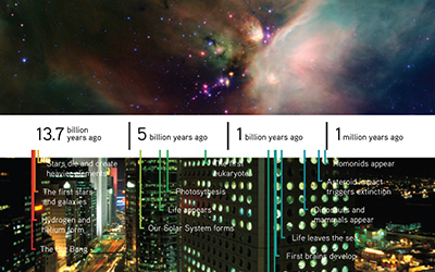 Complexity and the Future