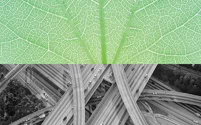Complexity and Thresholds