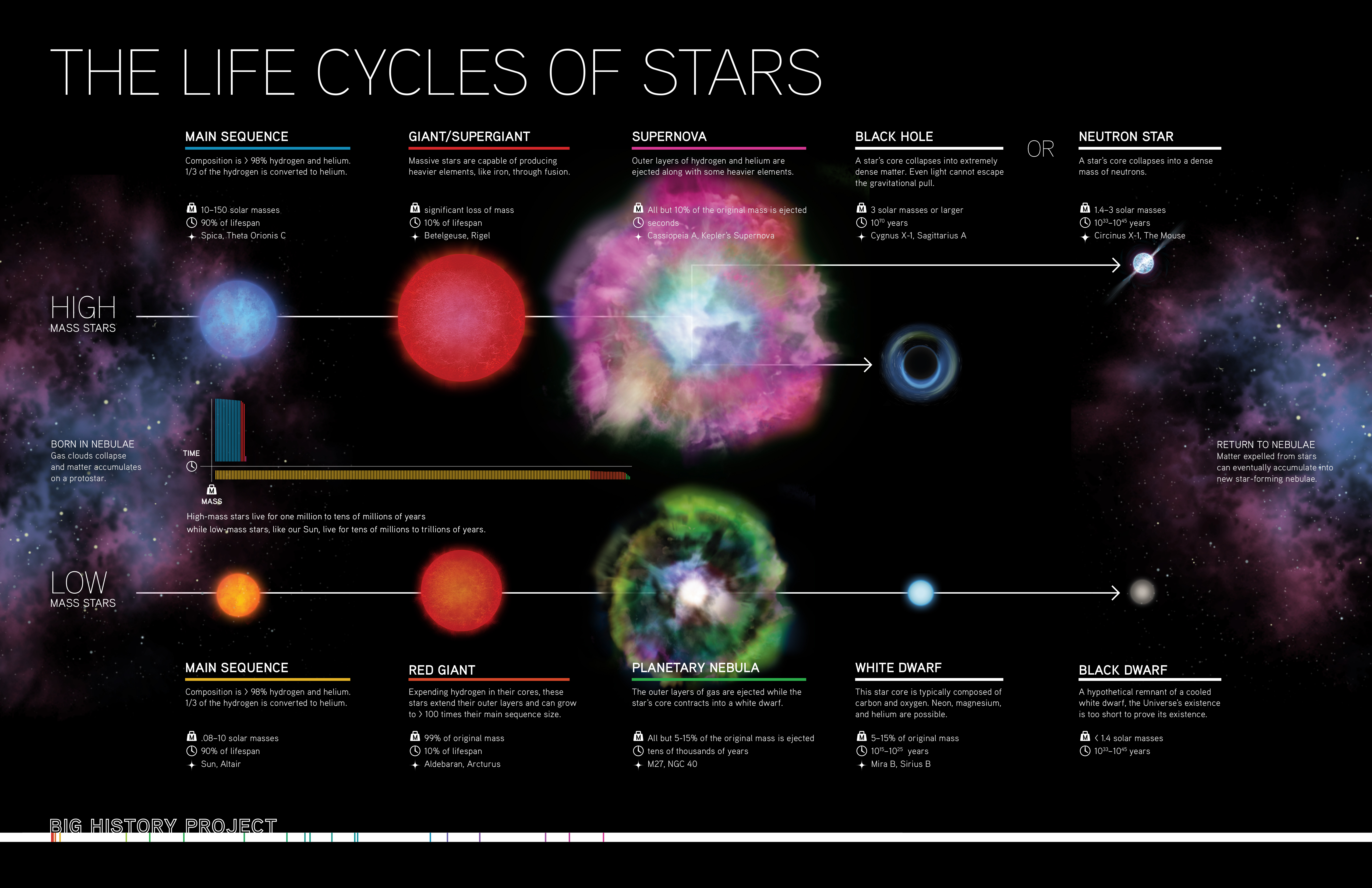 The Life Cycles of Stars Infographic