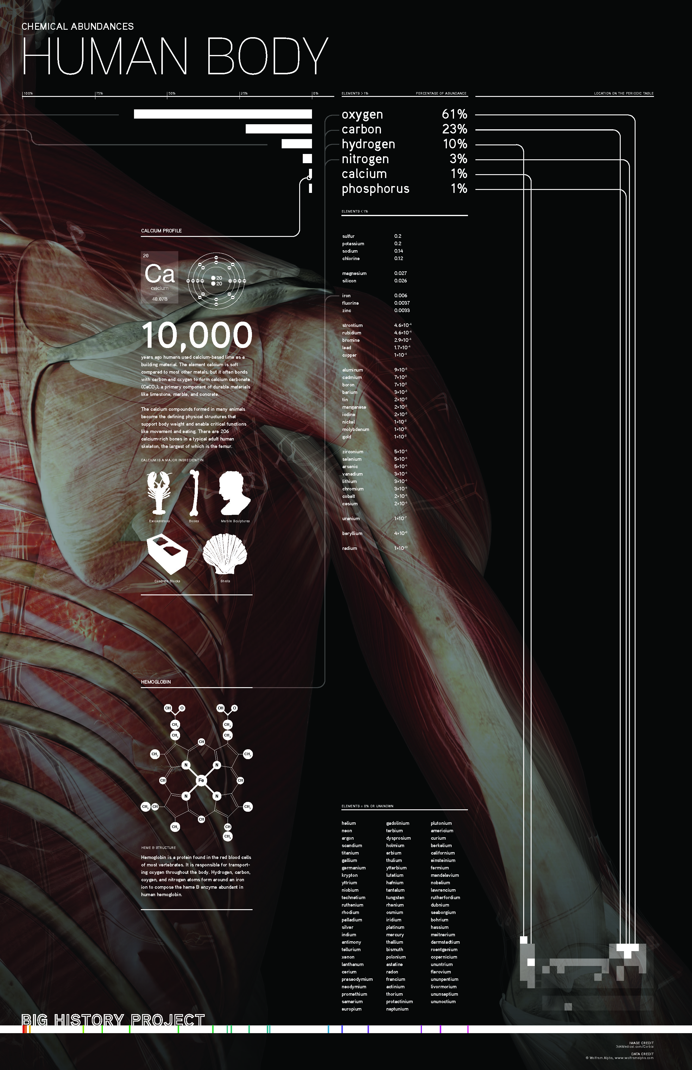 Chemical Abundances: Human Body