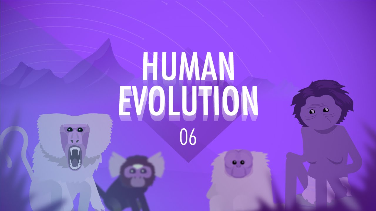crash-course-human-evolution