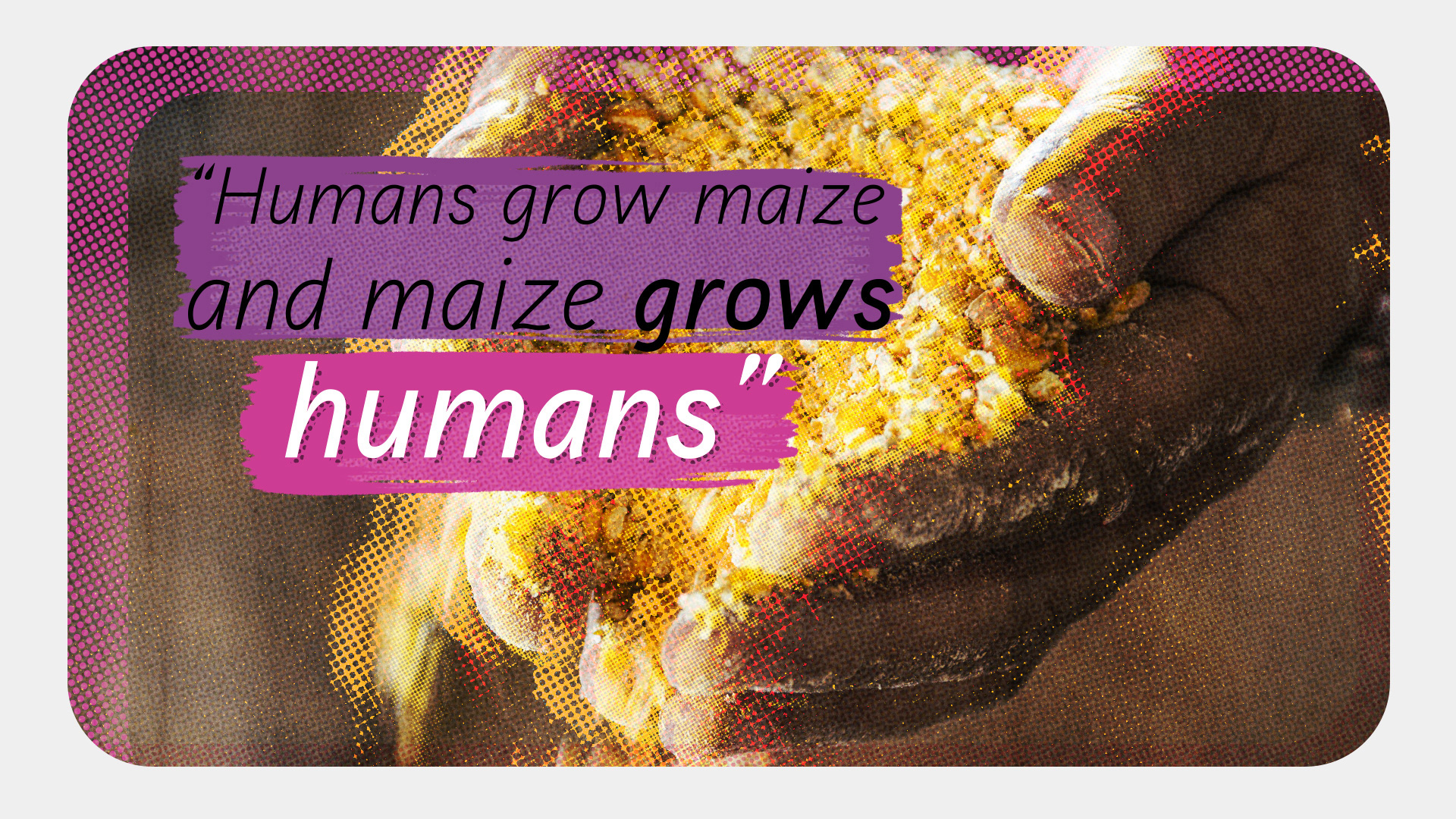 Big History of Maize Complexity and Fragility