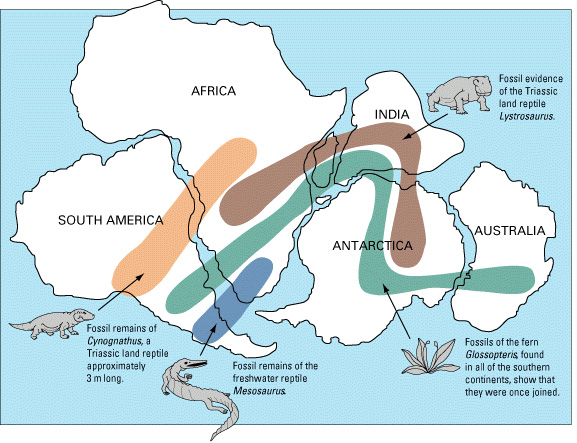 Map of an early state of the world with joined continents. Color bands show how certain fossil plants and animals were in close proximity in the past, but are widely separated in present day.