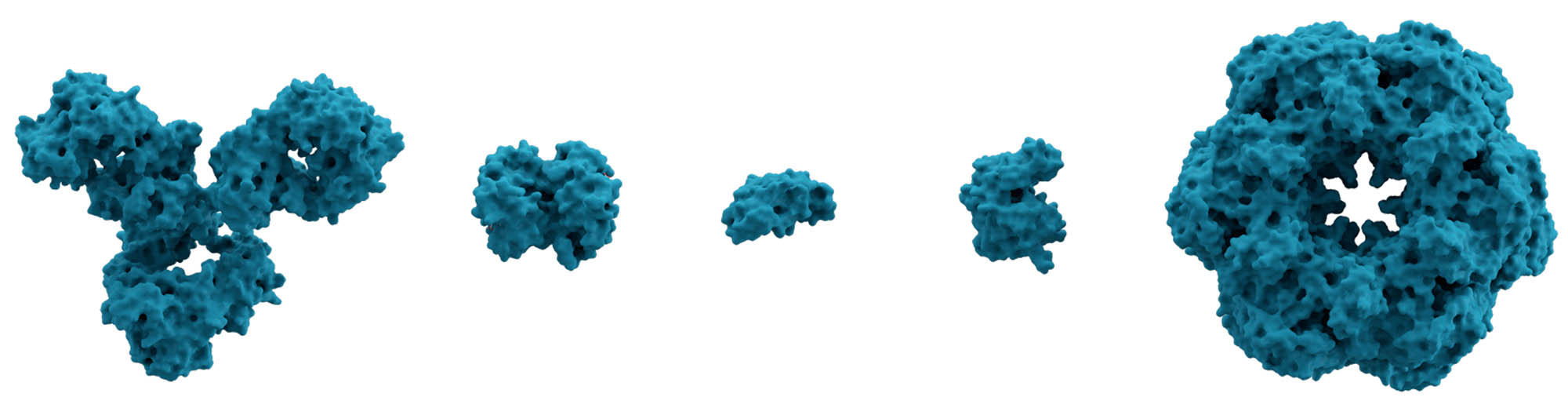 Microscopic view of five different proteins and their different structures.