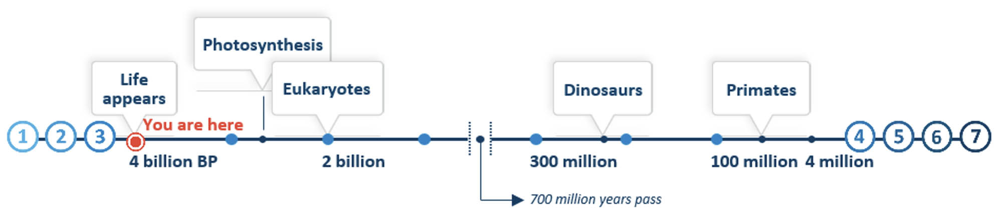 Timeline graphic with a You Are Here location close to the Life Appears label.