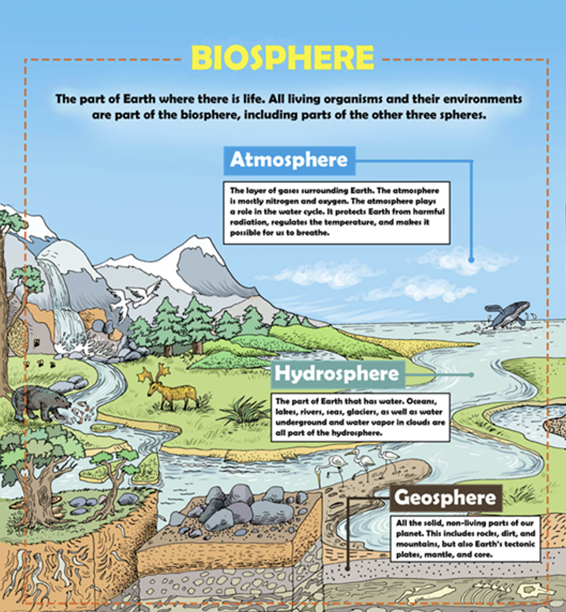 An infographic of our biosphere.