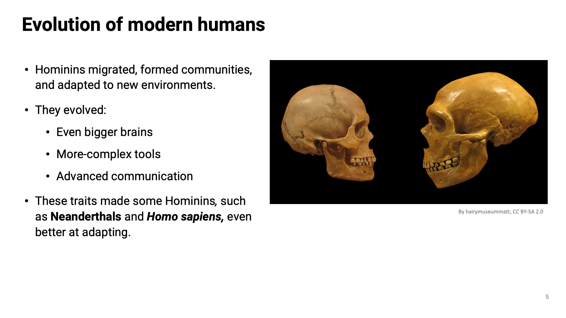 Humans Evolution Is Human Evolution