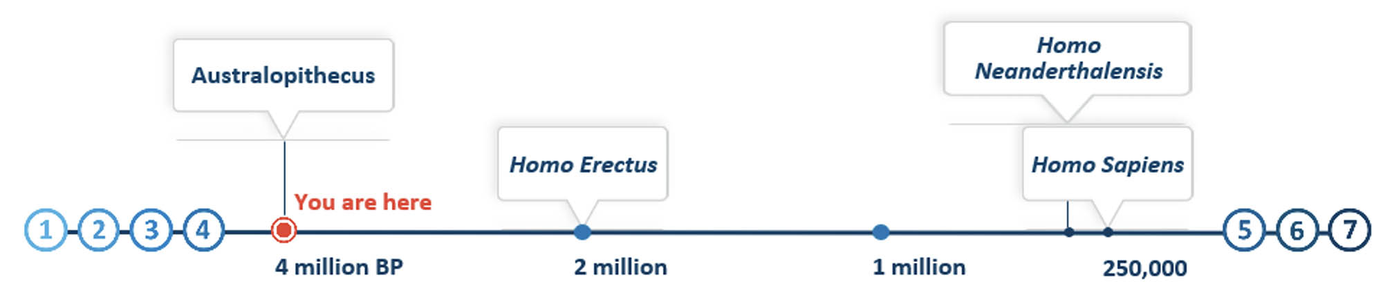 Timeline graphic with a You Are Here location close to the Australopithecus label.
