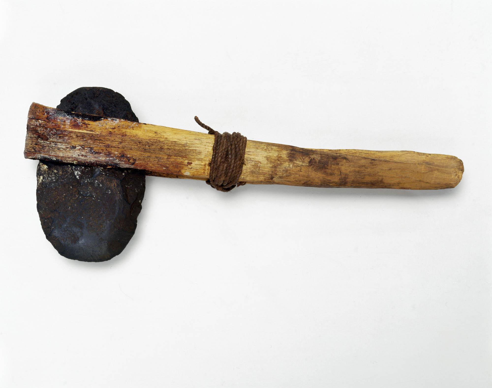  A small group of early human ancestors hunting and foraging.