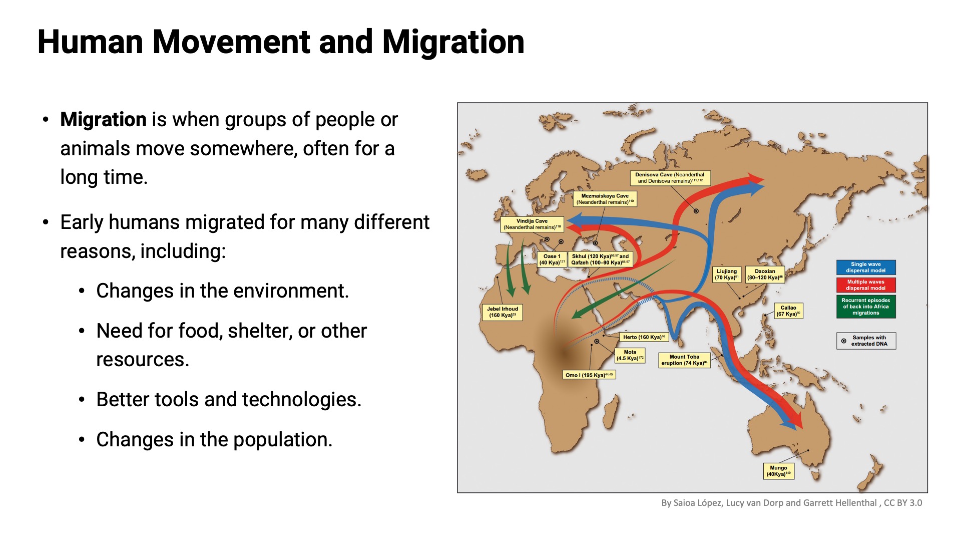 Migration Study Migration | Big History | OER Project
