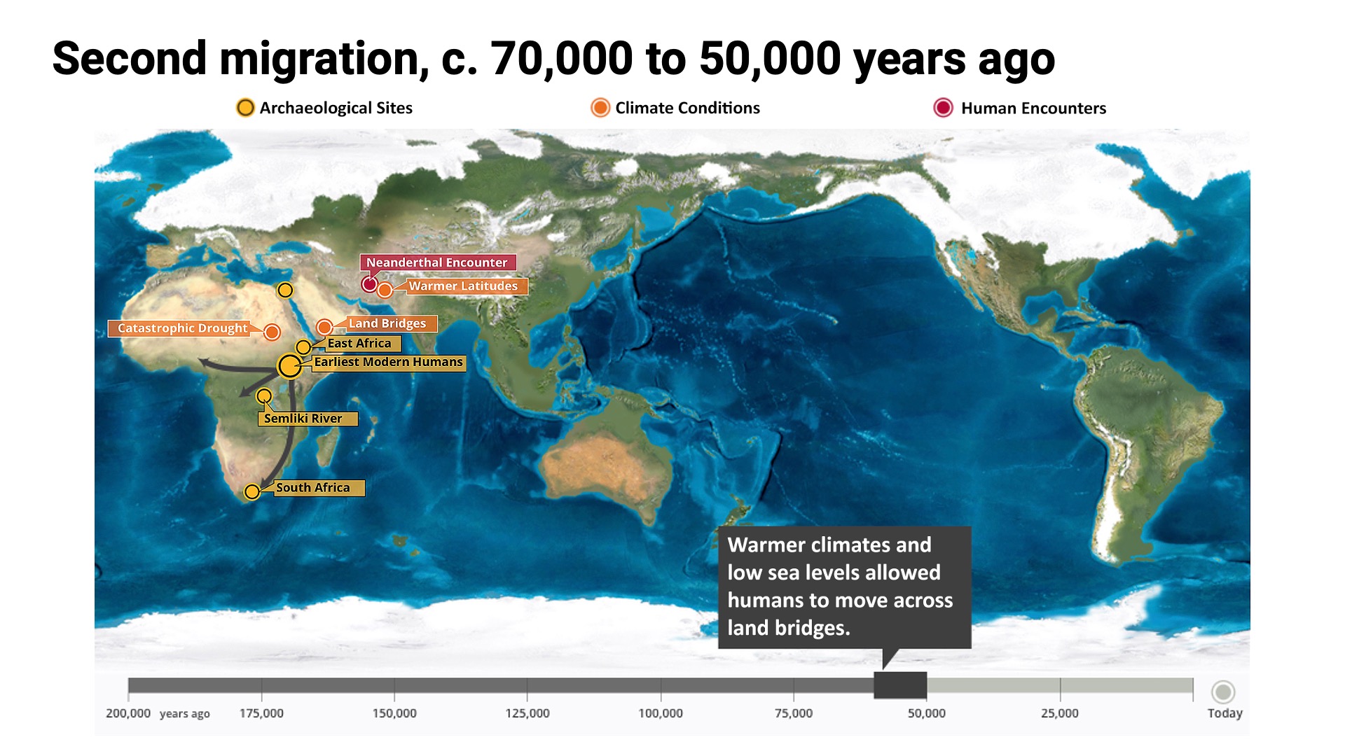 Big History Unit 4 Early Human Migration