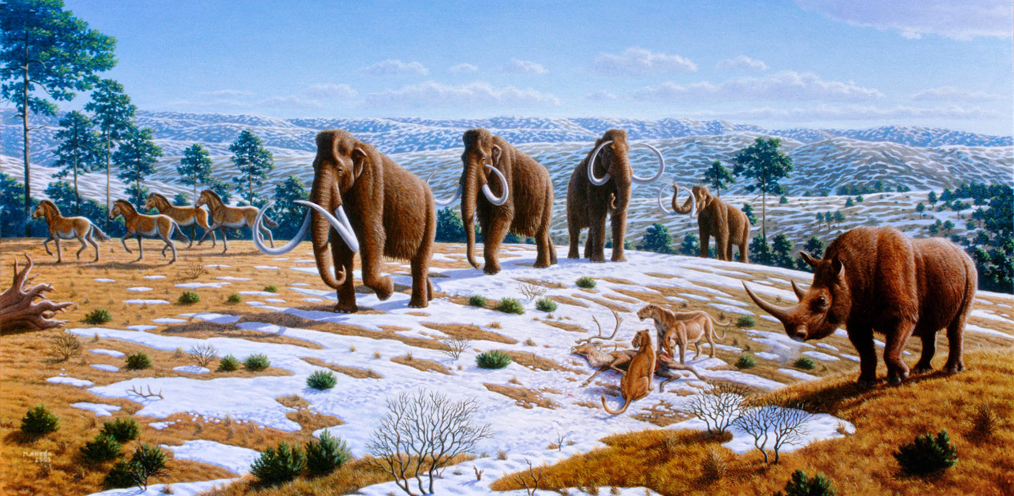 A group of mammoths in a snowy landscape.