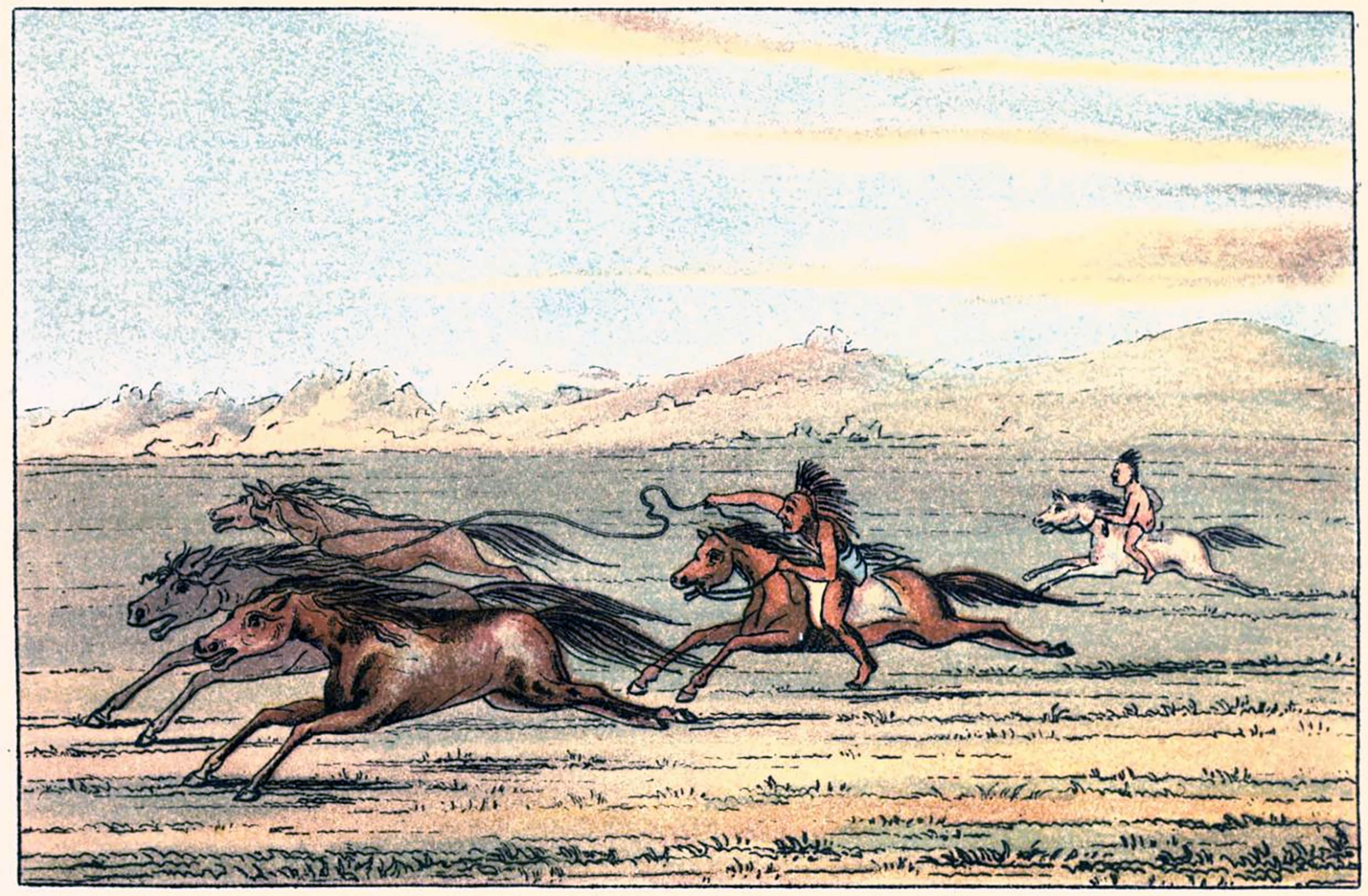 Illustration of Comanche riders on horseback chasing and lassoing wild horses across an open plain in 1834.