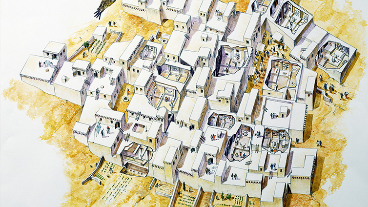 How Farming Built the First Cities