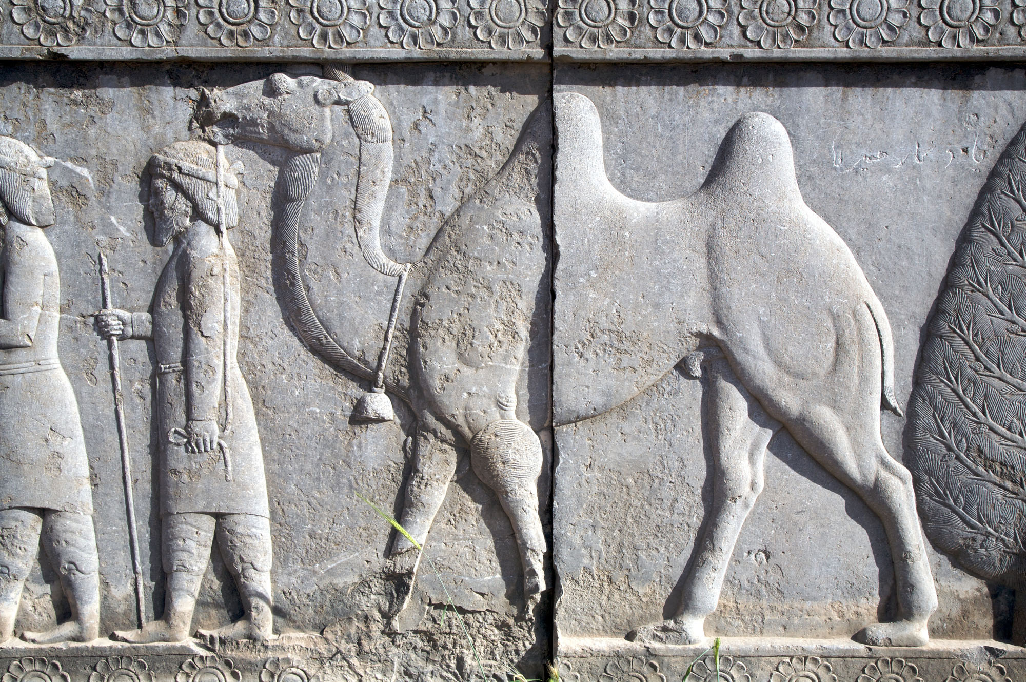A carving showing a man leading a camel, with detailed outlines of the figures etched into the wall. Decorative patterns border the top of the carving.