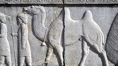 A carving showing a man leading a camel, with detailed outlines of the figures etched into the wall. Decorative patterns border the top of the carving.