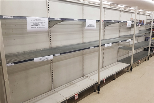 a-splinter-free-history-of-toilet-paper