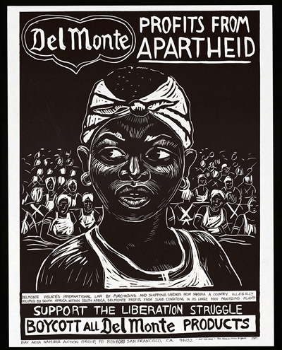 protests-south-africa-apartheid-united-states-blm