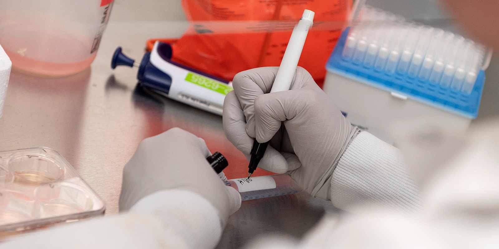 the-naming-of-diseases-why-it-matters