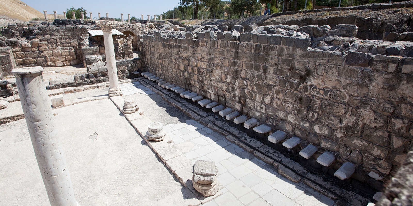 urbanization-from-the-bottom-up