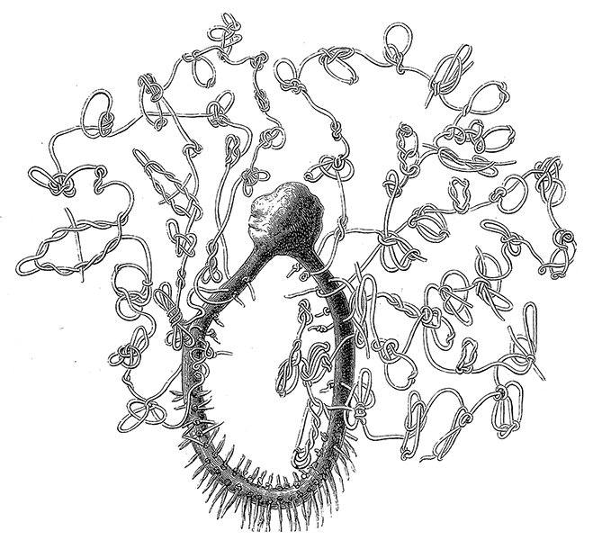 can-i-write-to-your-manager