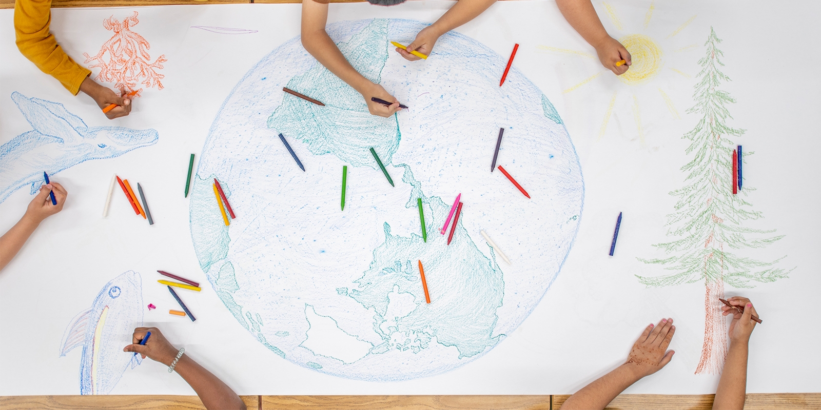 from-knowledge-to-usable-understanding