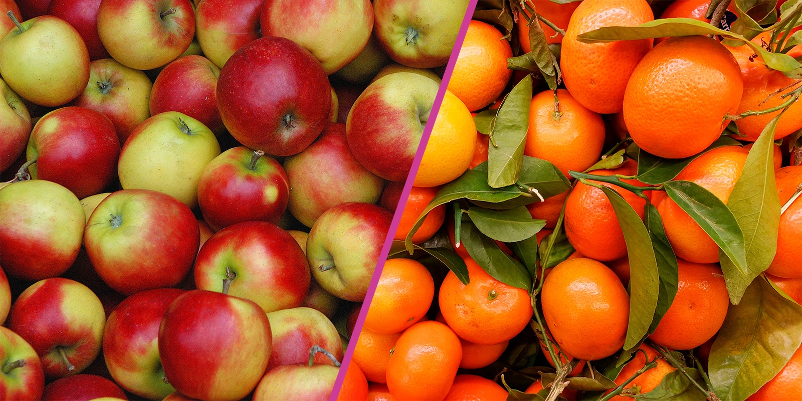 theres-no-comparison-so-why-compare