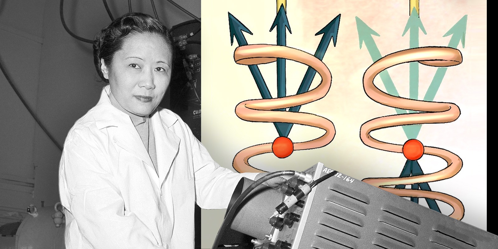 dr-wu-and-the-left-handed-universe