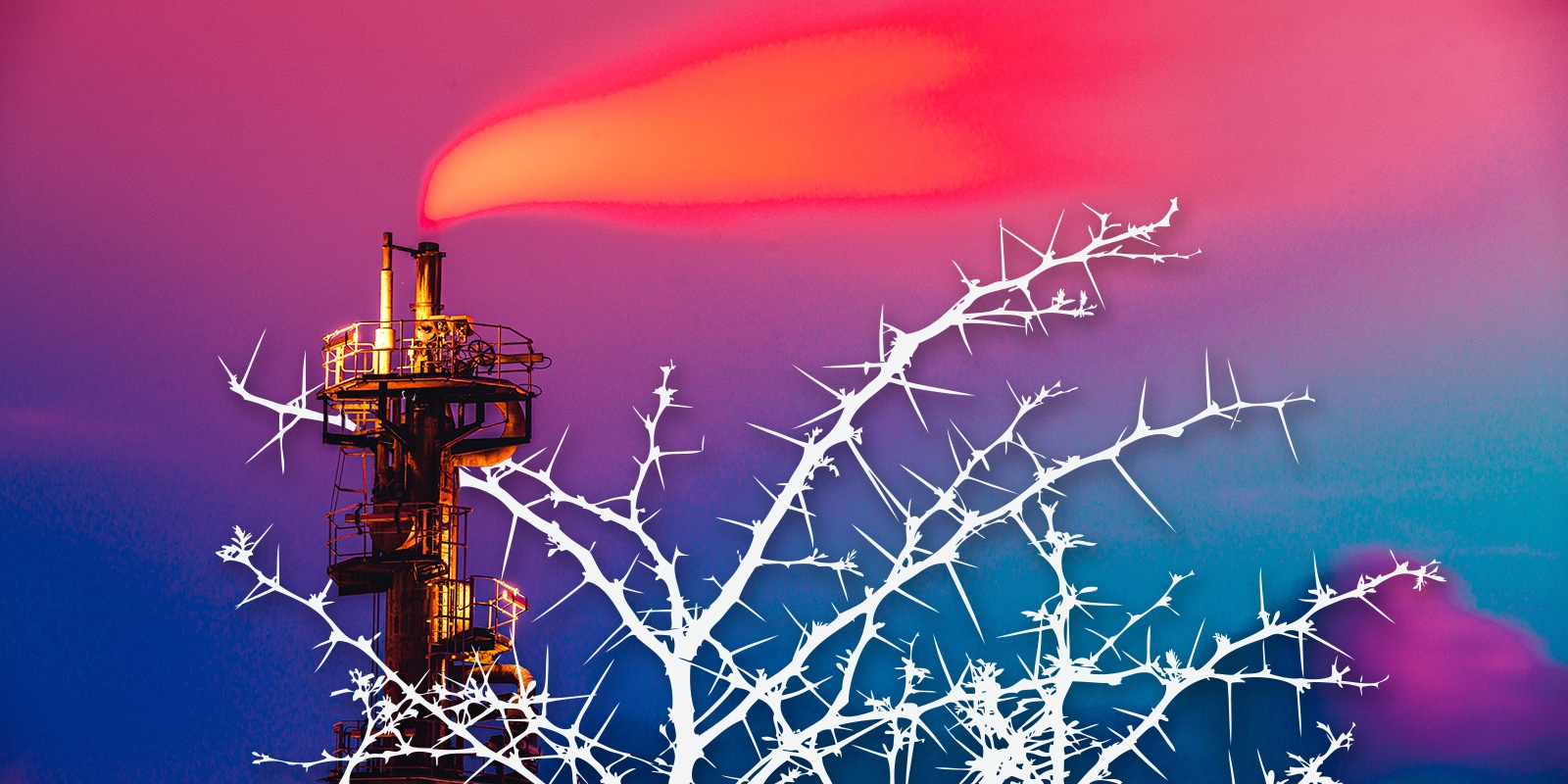 Researching BIG thorny problems