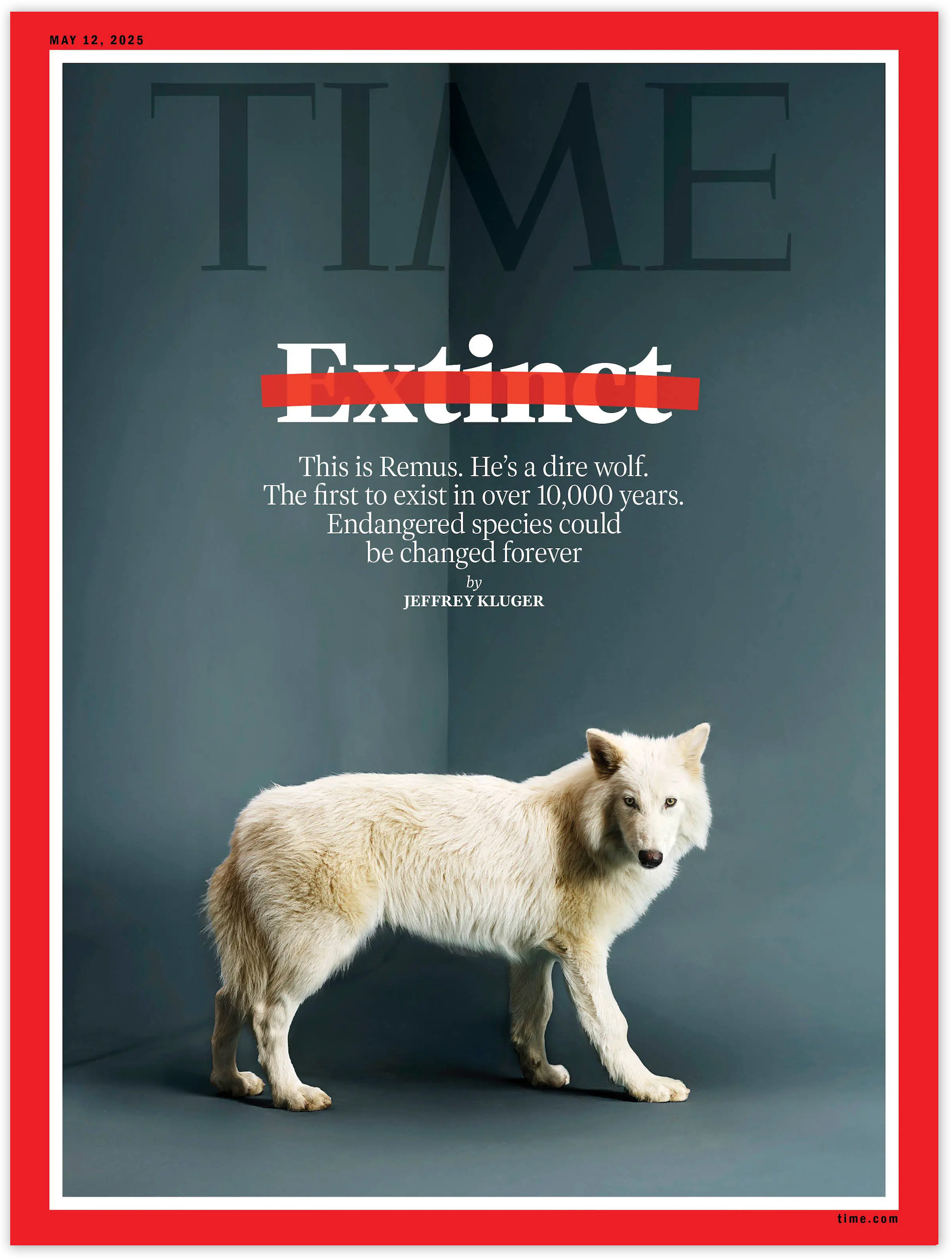 The cover of an issue of TIME magazine with the word "Extinct" struck out and a white dire wolf looking toward the viewer.