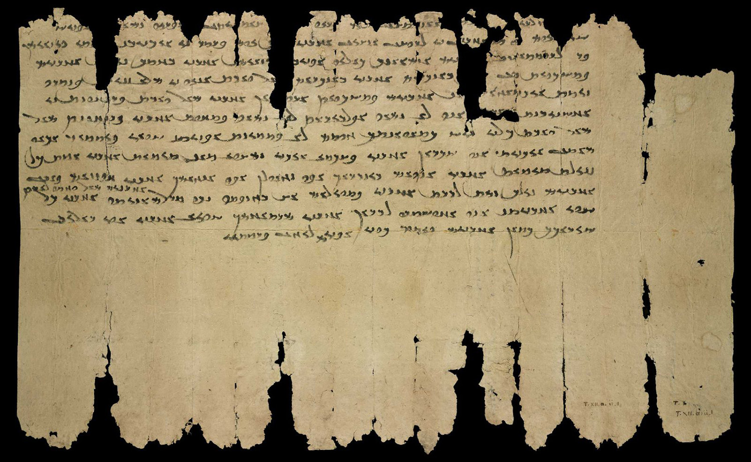 A tattered scrap of ancient parchment.