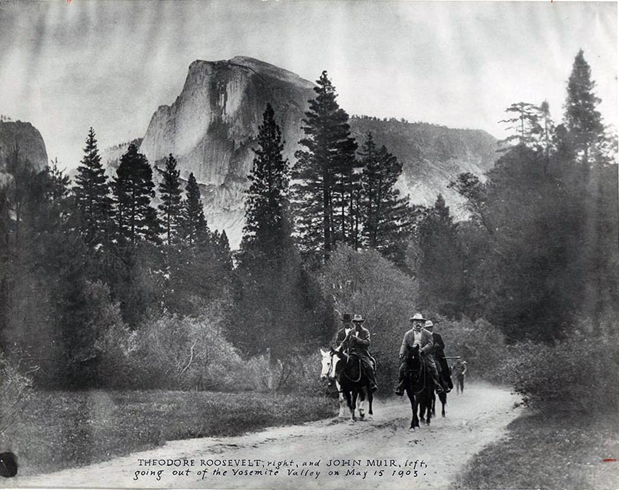 A photo of President Theodore Roosevelt and John Muir riding horses down Yosemite Valley, with other men following behind, trees and mountains are seen in the background.
