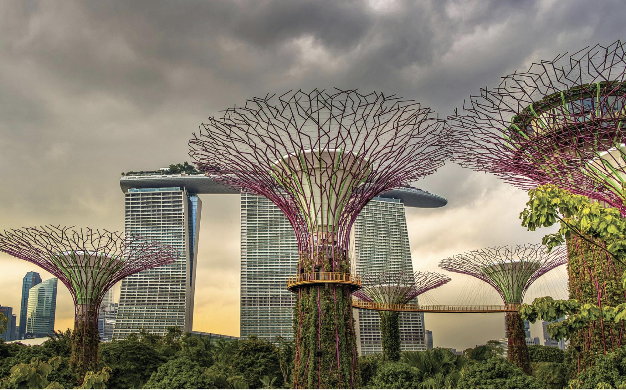 Supertree Grove in Gardens by the Bay Under Gray Clouds in Singapore.