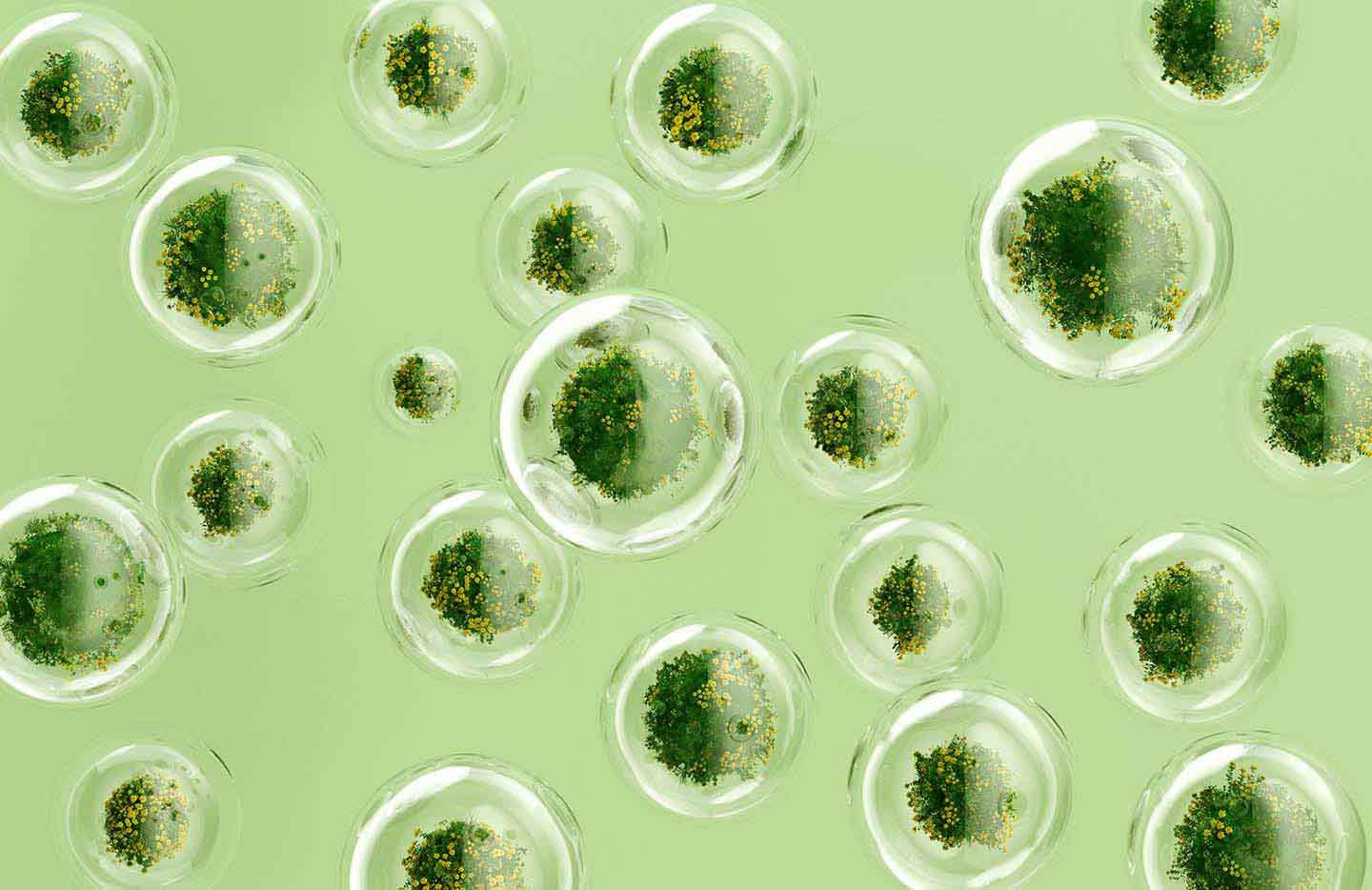 Plants growing in bubbles