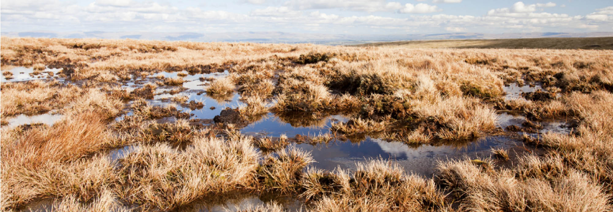Panoramic view of a vast expanse of peat bog, sky, and water.