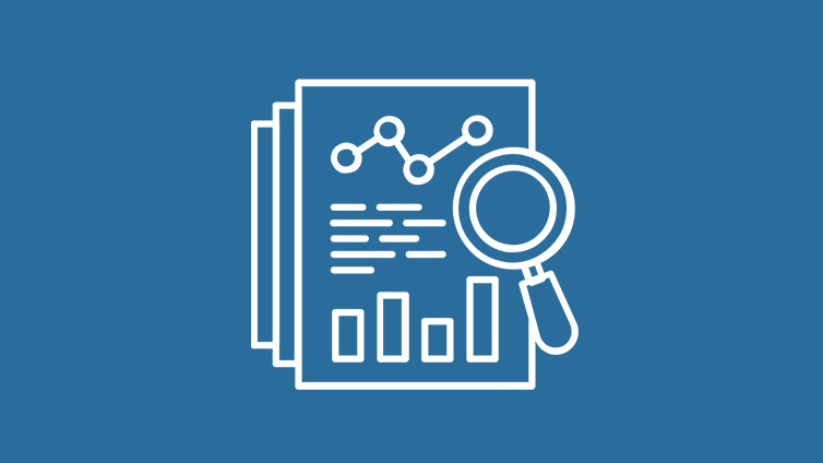 Climate Policy Analysis