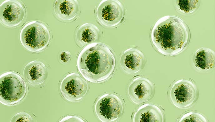 project essay grade Plants growing in bubbles.
