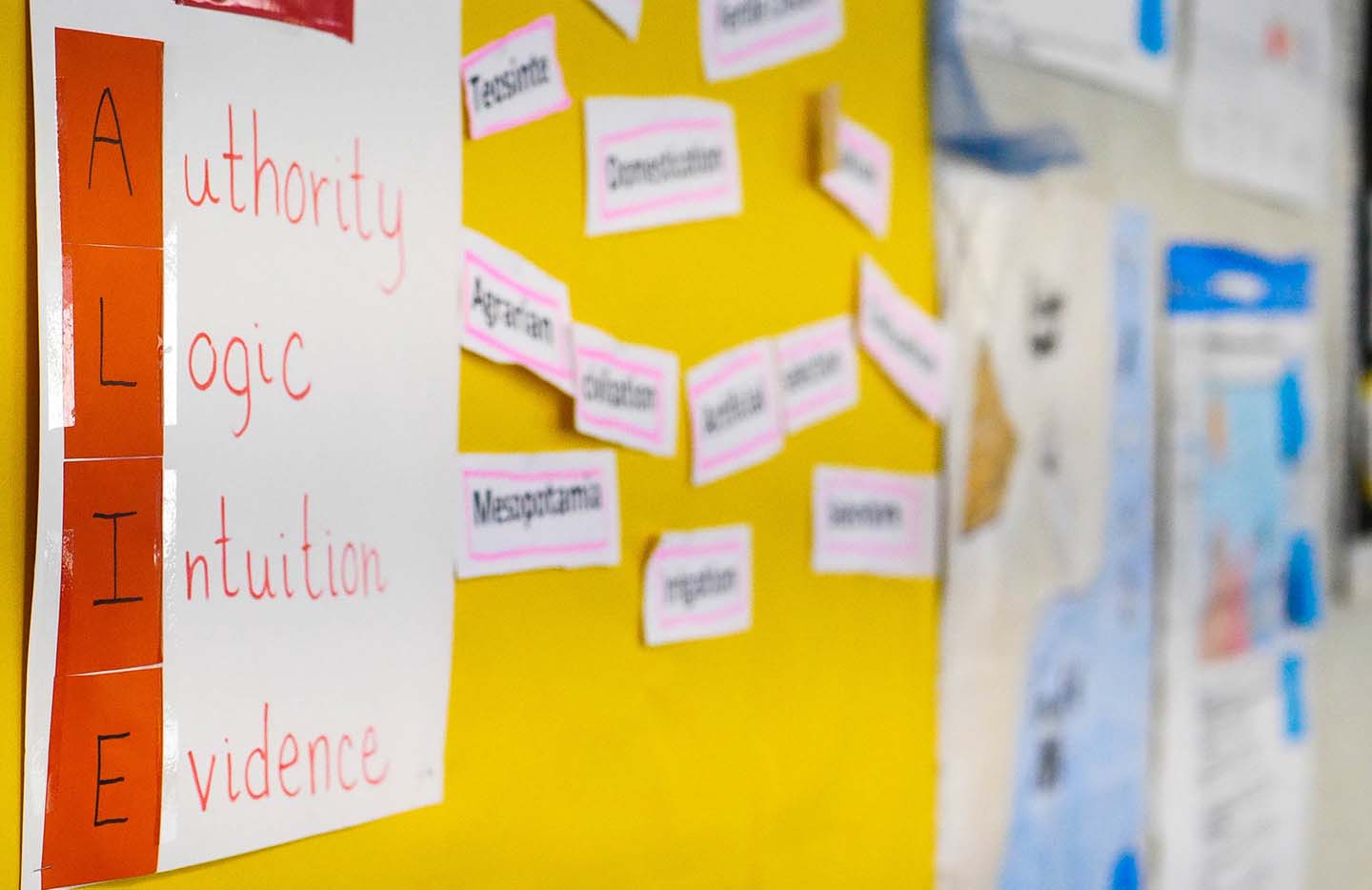acronym on a board that reads ALIE: authority, logic, intuition, and evidence