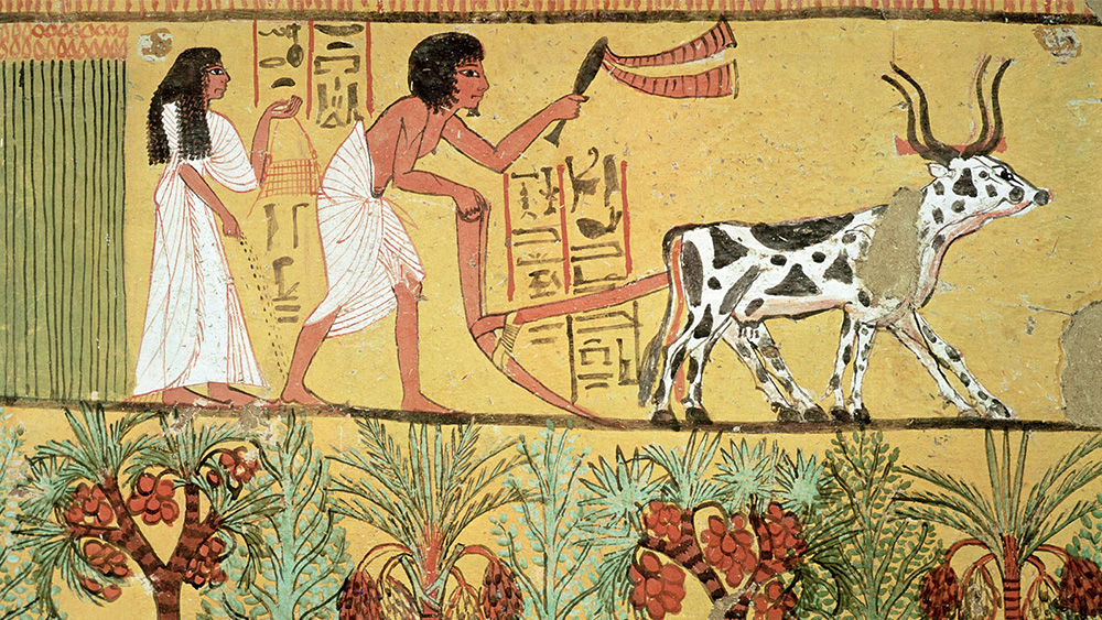 Agricultural Revolution