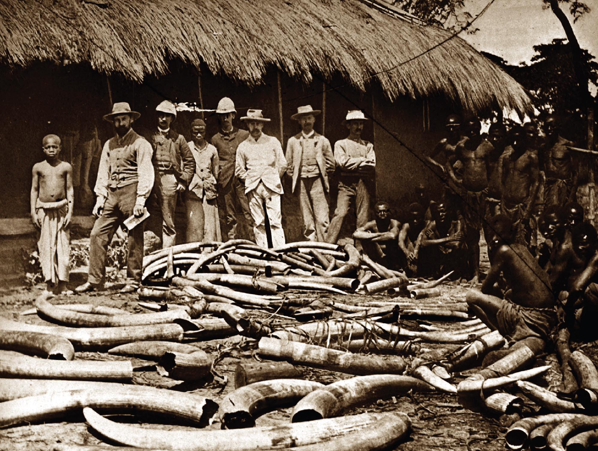A group of white hunters stand in front of a pile of ivory from hunted elephants. 