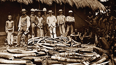 A group of white hunters stand in front of a pile of ivory from hunted elephants. 