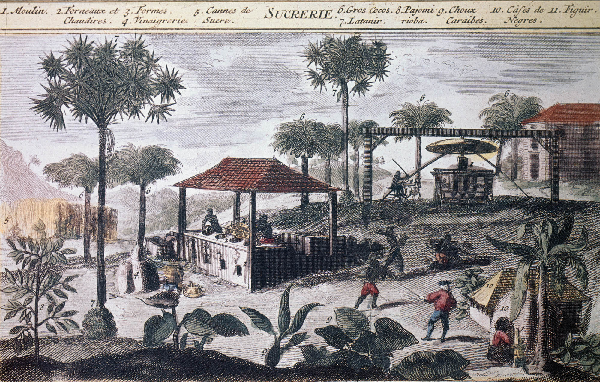 Painting of slaves working on a plantation washing dishes and carrying loads of sugarcane as their master stands with a sword directing them.  