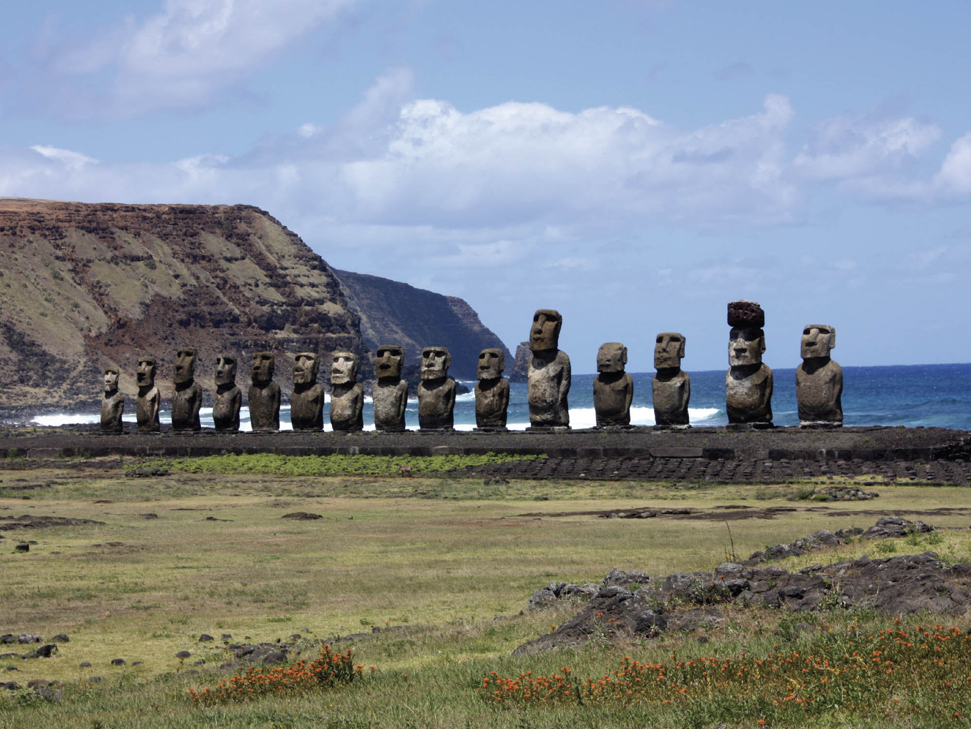 Photo of several gigantic stone heads lined up in a row, taken from across a grass field.