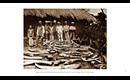 Belgian officials standing over elephants killed for sport or ivory in Congo, 1900.