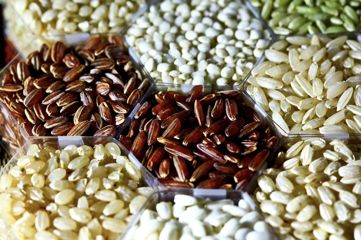 Photograph of dried wheat berries, rice, and other grains