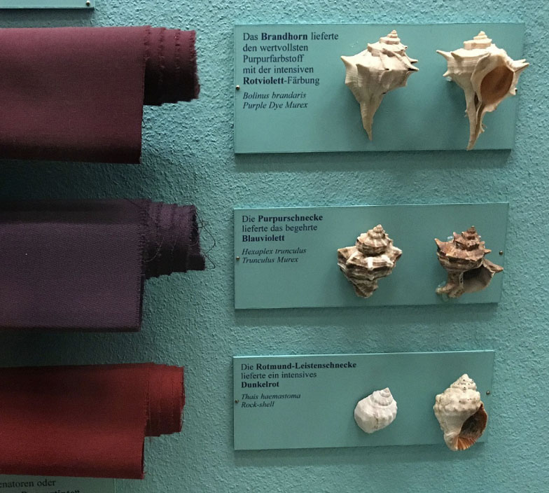 Photo of three different colors of perfect next to the shells of the sea snails that leave such dyes