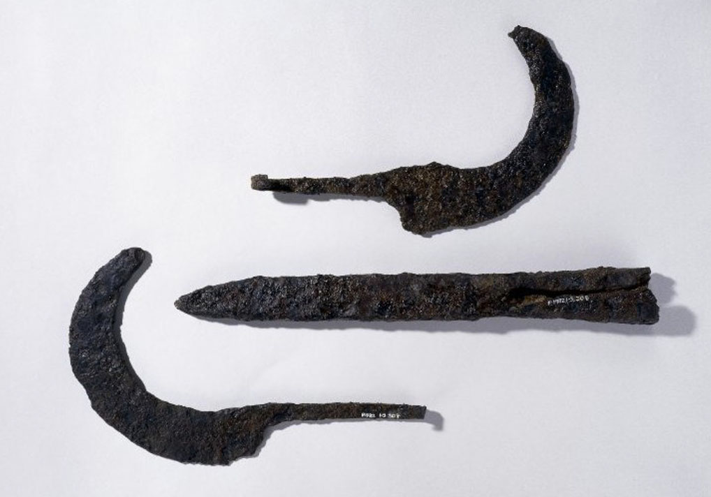 Photograph of tools that may have been used to prepare the soil. Two are rounded and one is straight and dagger-shaped